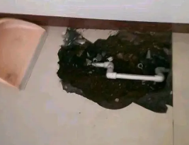 香格里拉卫生间测漏水多少钱